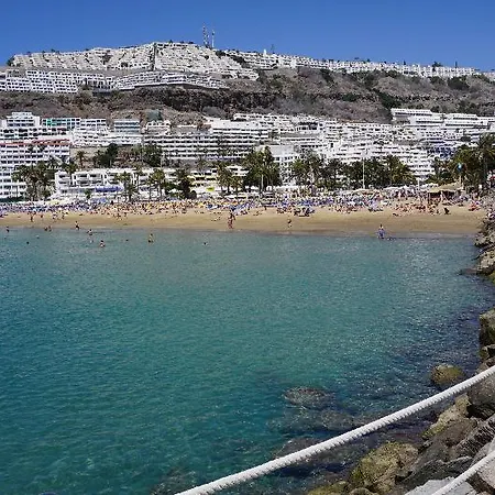 Heliomar Palmeras Puerto Rico (Gran Canaria)